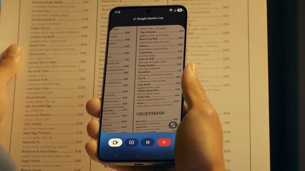 Galaxy S25 FE (S731)