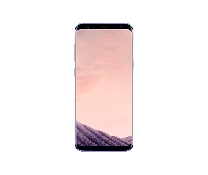 Galaxy S8+ (G955F)