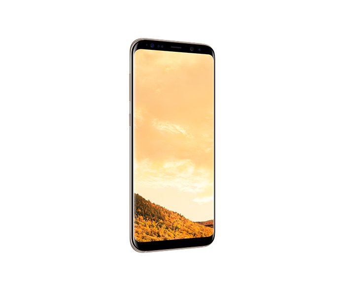 Galaxy S8 (G950F)
