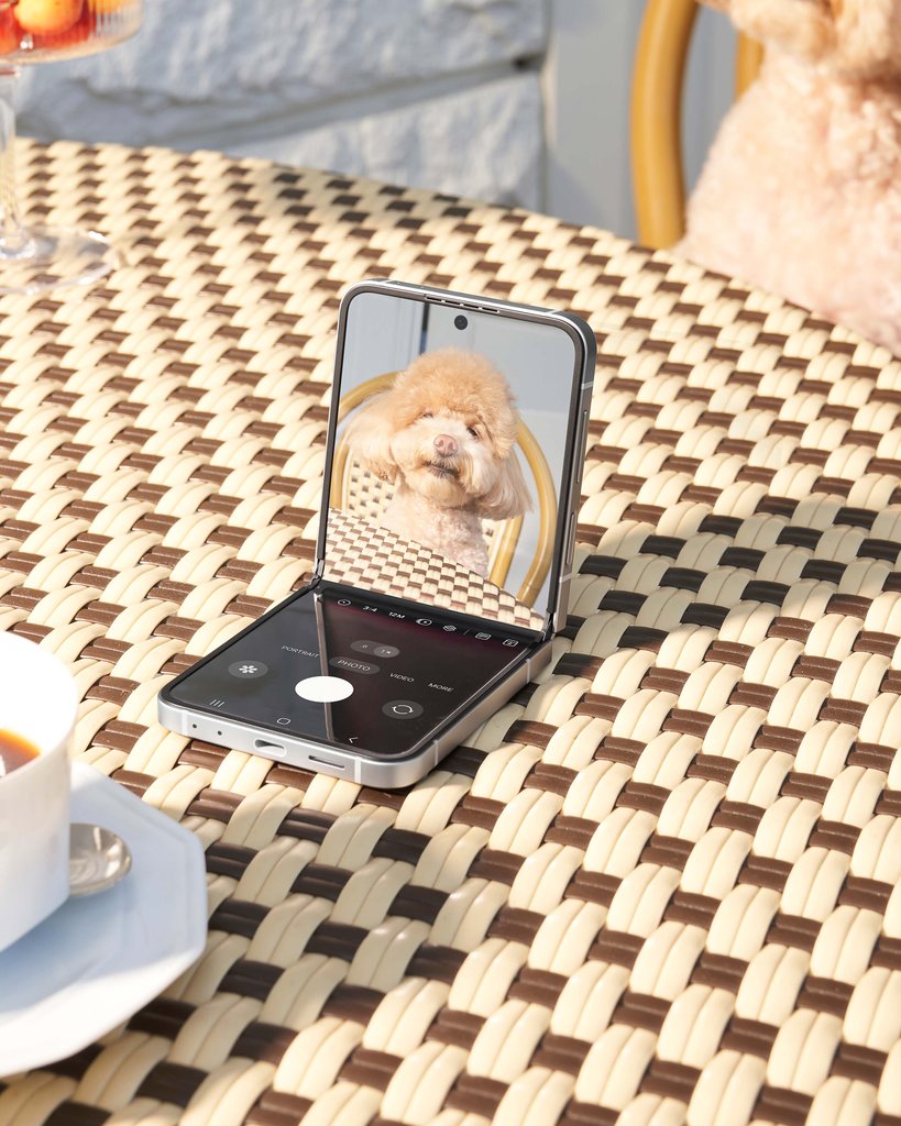Galaxy Z Flip6 (F741B)